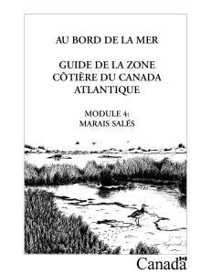 marais salés - Pêches et Océans Canada