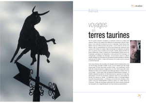 terres taurines