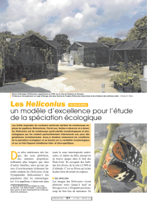 Les Héliconius et la spéciation écologique / Insectes n° 156