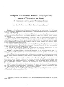 Description d`un nouveau Nematode Oesophagostome