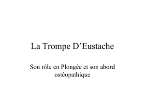 La Trompe D`Eustache