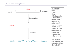 L`expression du génome