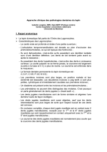 Approche clinique des pathologies dentaires chez le lapin