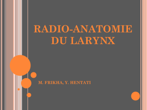 RADIO-ANATOMIE DU LARYNX