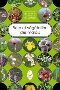 Flore et végétation des marais - Parc Naturel Régional des Marais