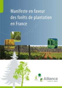 ALLIANCE FORET BOIS Manifeste Forêts de Plantation Jan12