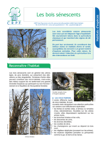 Les bois sénescents - CRPF Pays de la Loire