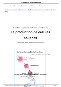 La production de cellules souches