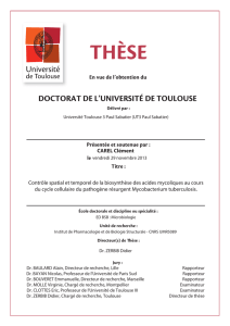 THµSE - Université Paul Sabatier