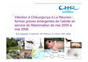 Infection à Chikungunya à La Réunion : formes graves émergentes