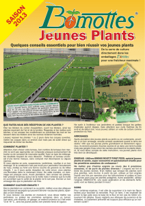 Jeunes Plants - Graines Baumaux