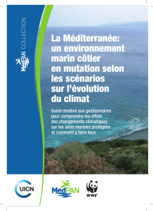 La Méditerranée: un environnement marin côtier en