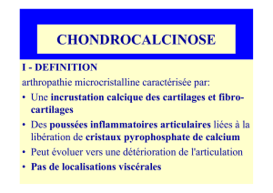 CHONDROCALCINOSE