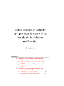 Indice scalaire et activité optique dans le cadre de la théorie de la