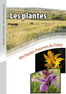 Les plantes des hautes chaumes du Forez - cen rhone