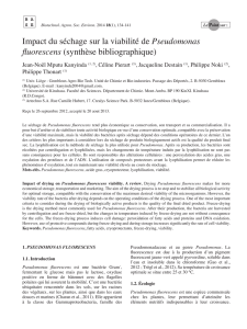 Impact du séchage sur la viabilité de Pseudomonas fluorescens