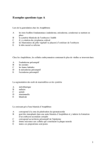 Exemples questions type A