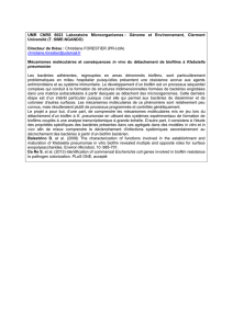 UMR CNRS 6023 Laboratoire Microorganismes : Génome et
