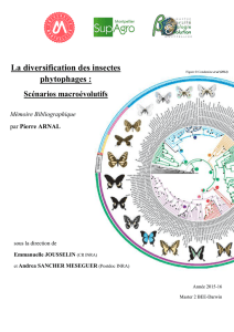 La diversification des insectes phytophages :