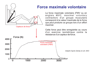 Force maximale volontaire