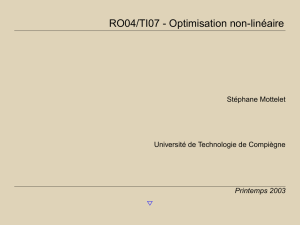 RO04/TI07 - Optimisation non-linéaire