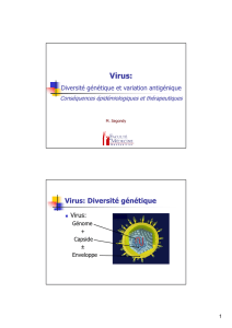 Variabilité génétique des virus