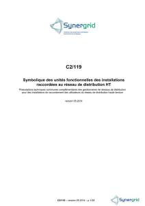 C2/119 - Synergrid