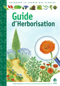 d`herborisation - Institut Klorane