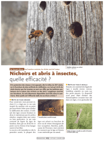 Nichoirs et abris à insectes