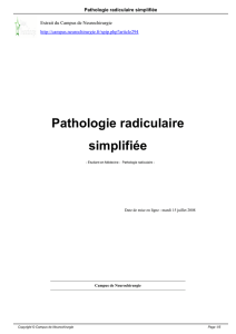 Pathologie radiculaire simplifiée
