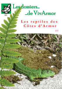 Les reptiles des Côtes d`Armor(2-2)