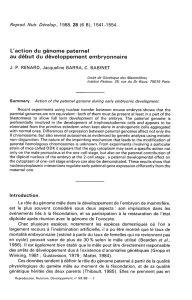 L`action du génome paternel au début du développement