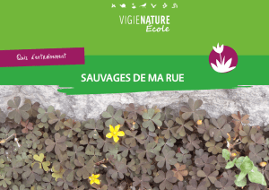 sauvages de ma rue - Vigie