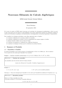 Nouveaux Eléments de Calculs Algébriques - Pascal Delahaye