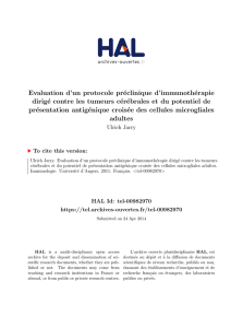 Evaluation d`un protocole préclinique d`immunothérapie dirigé