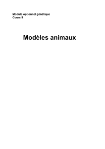 Ex : les modèles animaux permettent de comprendre la fonction d`un