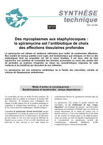 Des mycoplasmes aux staphylocoques : la spiramycine