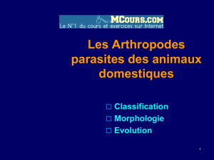 Les Arthropodes parasites des animaux domestiques