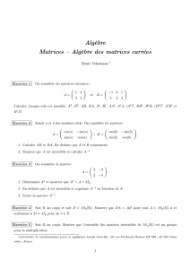 Algèbre Matrices – Algèbre des matrices carrées