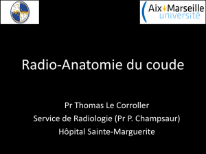 Radio-Anatomie du coude