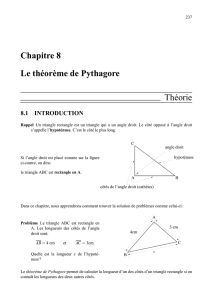 Chapitre 8 Le théorème de Pythagore Théorie