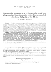 Brumptaemilius monsarratae n. sp. et Brumptaemilius