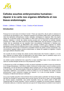 JTA 2007 : Cellules souches embryonnaires humaines : réparer à la