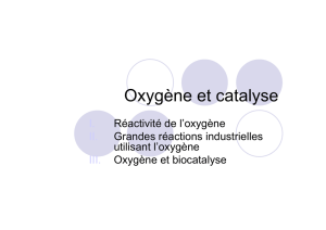 Oxygène et catalyse - Institut des Métaux en Biologie de Grenoble