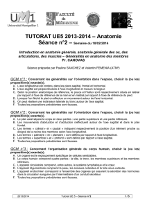 TUTORAT UE5 2013-2014 – Anatomie