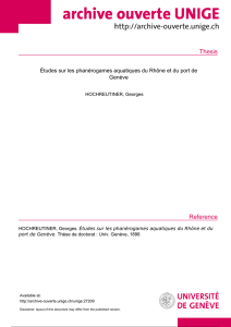 Thesis - Archive ouverte UNIGE