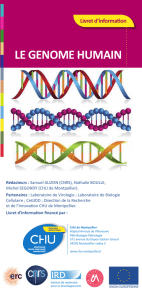 brochure sur le génome humain