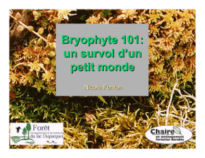 Bryophyte 101: un survol d`un petit monde - Chaire AFD