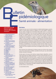 Santé animale - alimentation - Bulletin épidémiologique