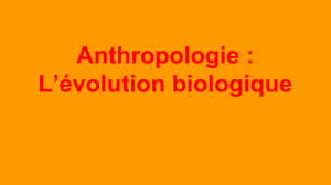 Anthropologie : L`évolution biologique
